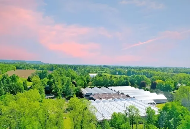 Additional image 49 of 7076 MCNIVEN Rd