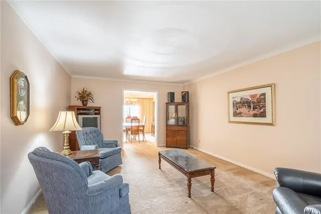 Additional image 5 of 2024 CHEVIOT Crt