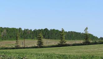 Additional image 3 of 3 Meadowbrook Views, 420054 RGE RD 283