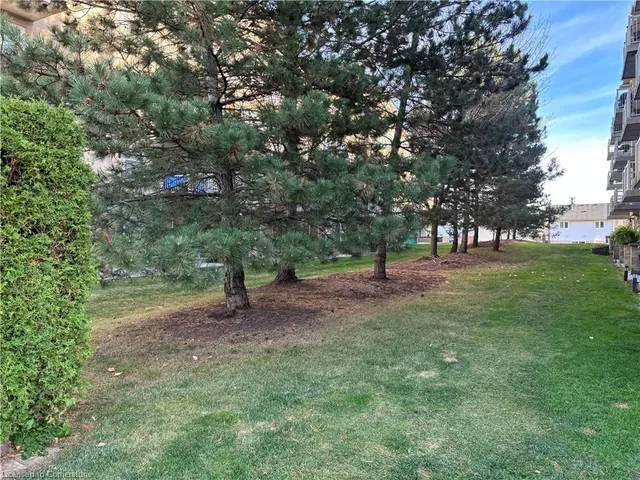 Additional image 16 of 1810 Walkers Line Unit 303