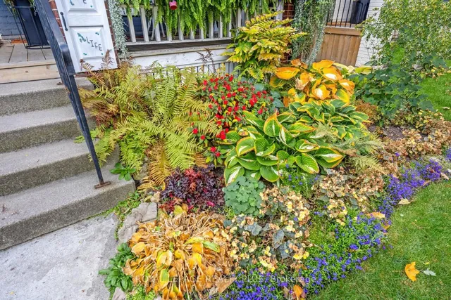 Additional image 2 of 16 Case St