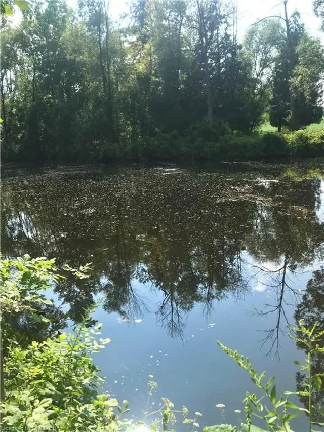 Additional image 22 of 5163 Milburough Line