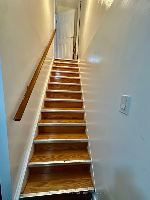 Additional image 28 of 28 Thorny Vineway