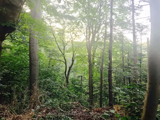 Additional image 22 of 541 Rouge Hills Dr