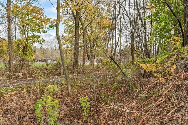 Additional image 43 of 54 Little John Rd