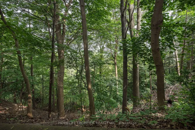 Additional image 24 of 541 Rouge Hills Dr