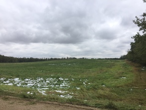 RR 243 North TWP 580