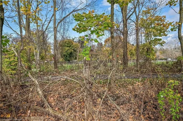 Additional image 42 of 54 Little John Rd