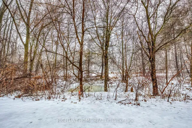 Additional image 38 of 146 7th Concession Rd