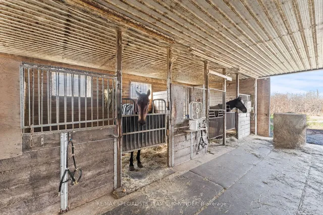 Additional image 22 of 10253 second Line