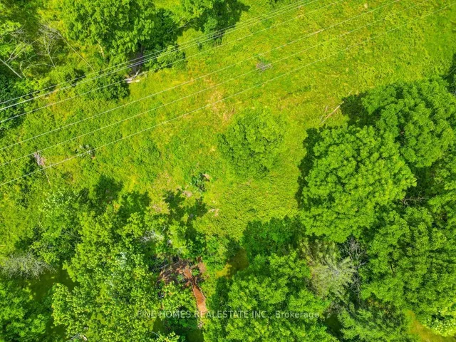 Additional image 10 of 671 Lions Club Rd