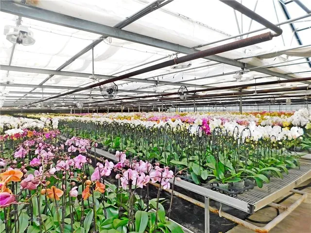 Additional image 20 of 7076 MCNIVEN Rd