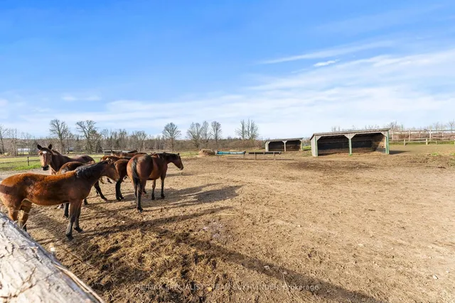 Additional image 20 of 10253 second Line