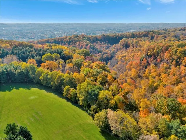 Additional image 47 of 313 Ofield Rd