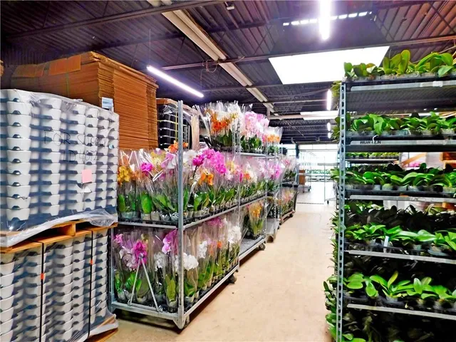 Additional image 16 of 7076 MCNIVEN Rd