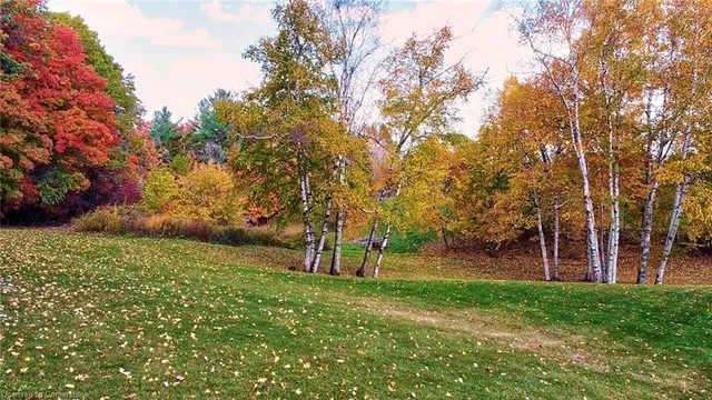 Additional image 3 of 1251 Britannia Rd