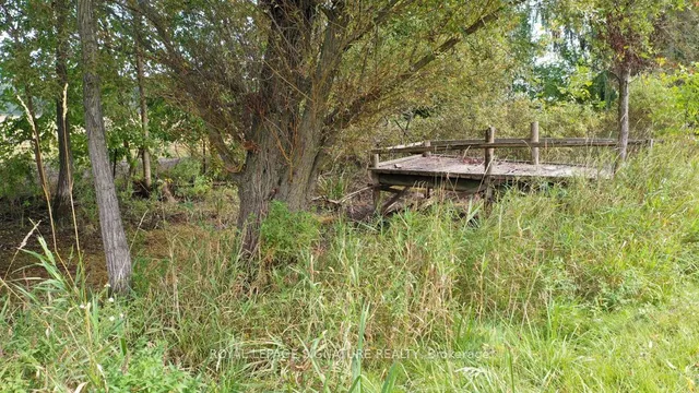 Additional image 24 of 6115 Eighth Line