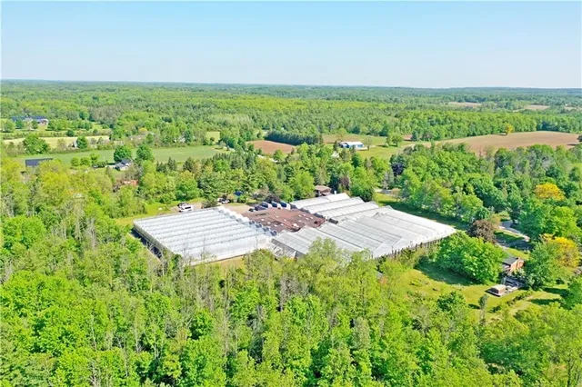 Additional image 45 of 7076 MCNIVEN Rd