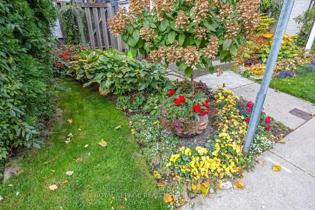 Additional image 4 of 16 Case St