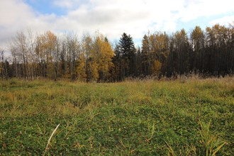 Additional image 2 of 29 Johnny's Lake Estates