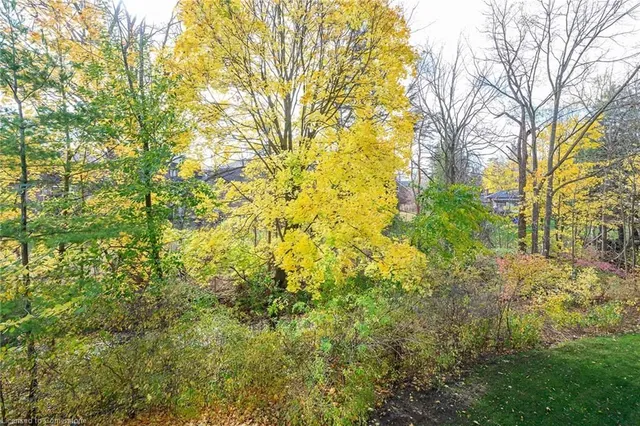 Additional image 41 of 443 Centennial Forest Dr Unit 213