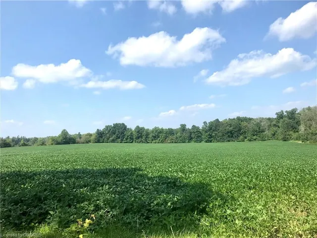 Additional image 2 of 5163 Milburough Line