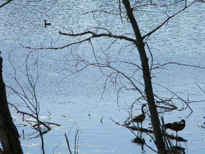 Additional image 3 of Block 2 Lot 16