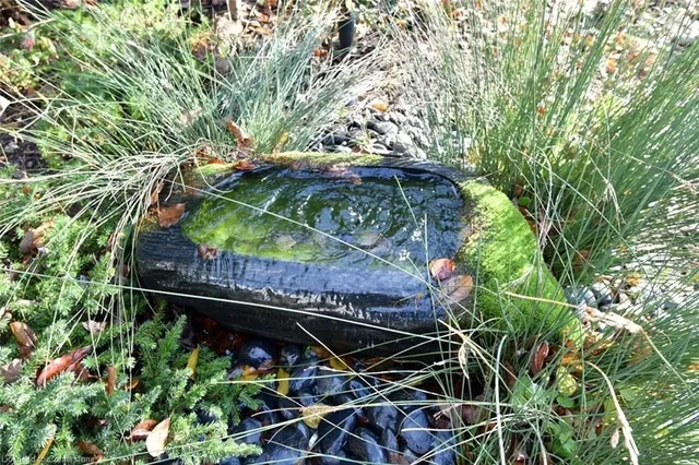 Additional image 42 of 9 Rowanwood Ave