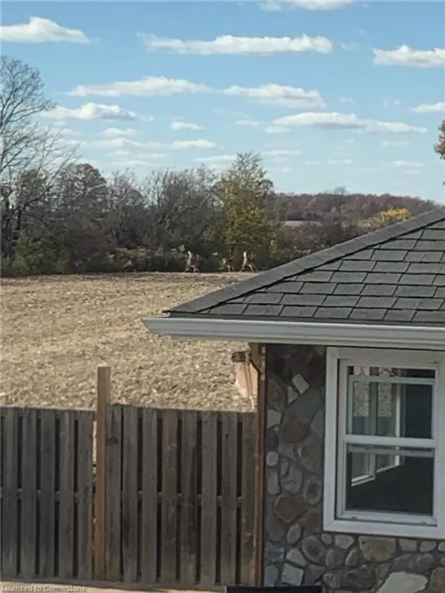 Additional image 40 of 2320 Hendershot Rd