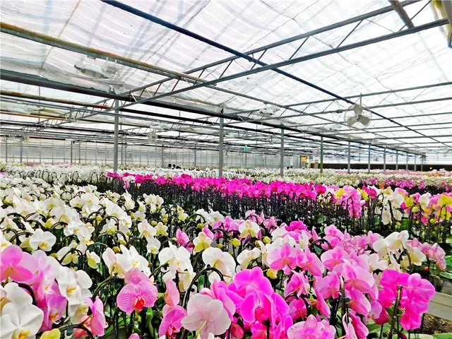 Additional image 8 of 7076 MCNIVEN Rd