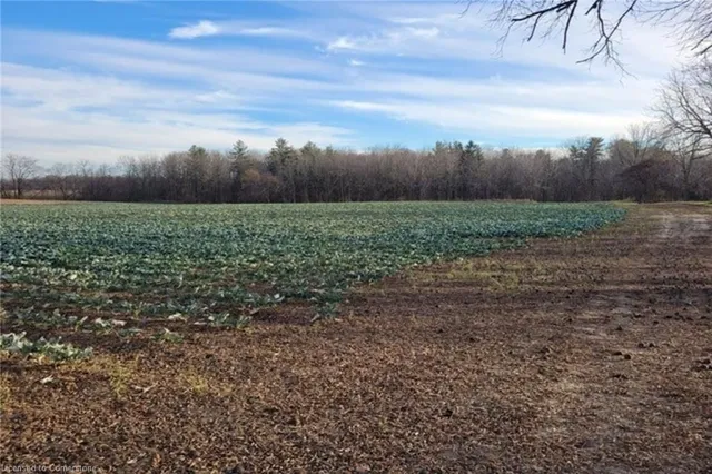 Additional image 34 of PT LT 22 Concession 2 Rd