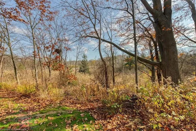 Additional image 46 of 80 Myers Lane