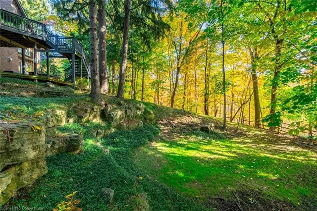 Additional image 44 of 64 Nelson St