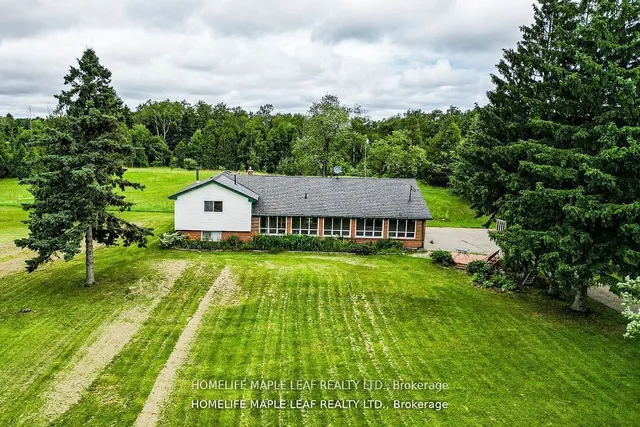 Additional image 37 of 12629 Second Line