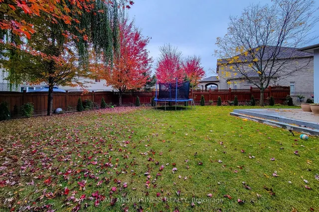 Additional image 35 of 15 Donatello Crt