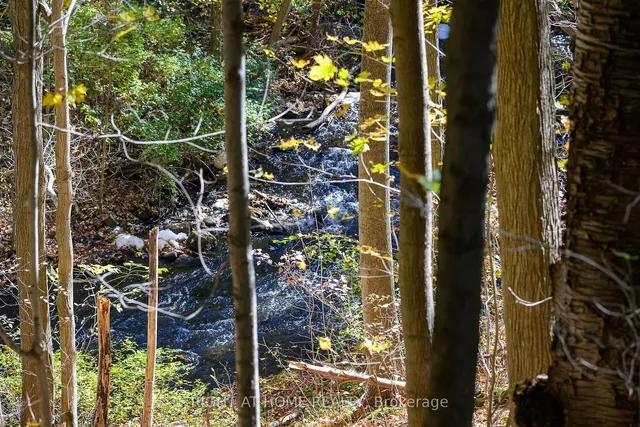 Additional image 36 of 1396 Progreston Rd