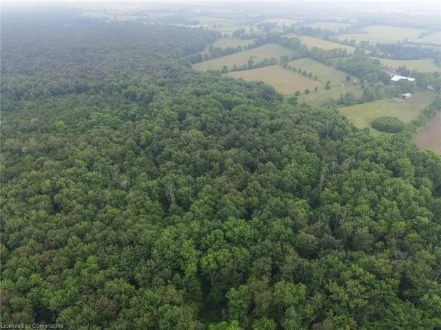 Additional image 44 of 1837 8th Concession Rd