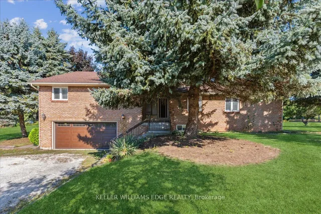 Additional image 4 of 335 York Rd