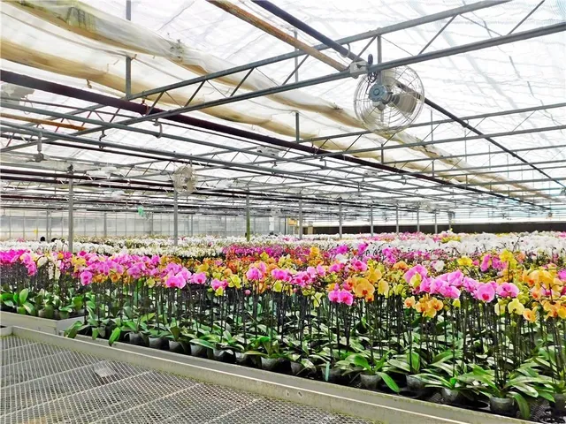 Additional image 19 of 7076 MCNIVEN Rd