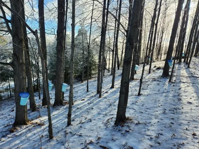 Additional image 46 of 13416 Fourth Line Nassagaweya