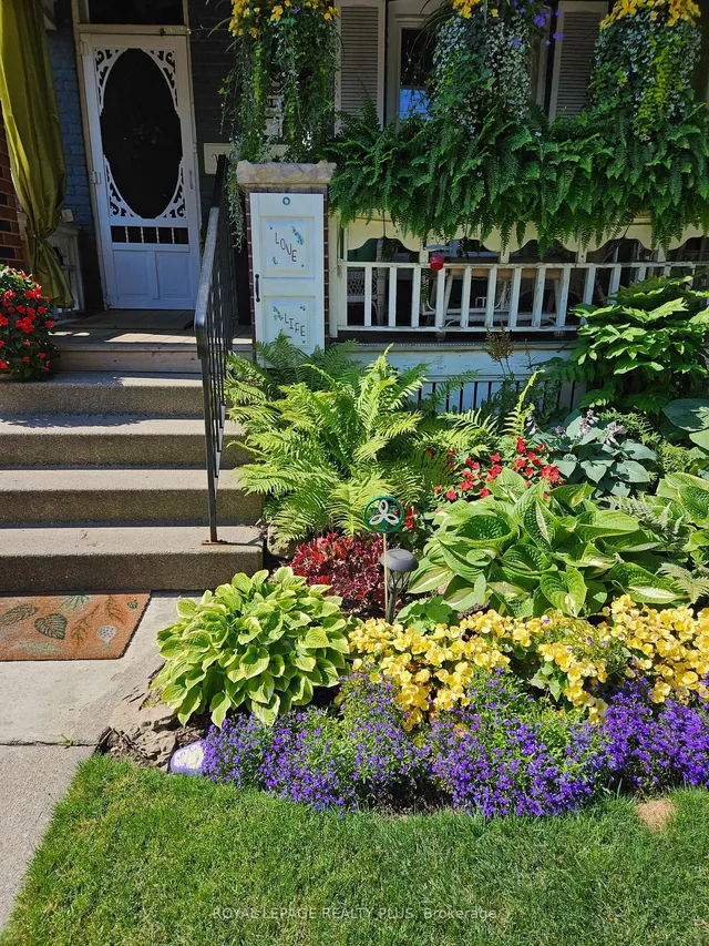 Additional image 38 of 16 Case St