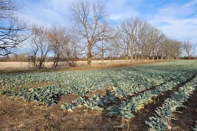 Additional image 29 of PT LT 22 Concession 2 Rd