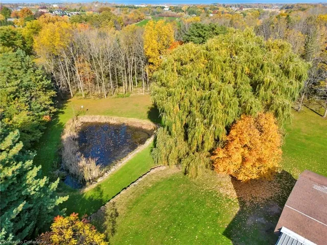 Additional image 49 of 313 Ofield Rd