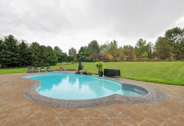 Additional image 35 of 48 PALOMINO Dr