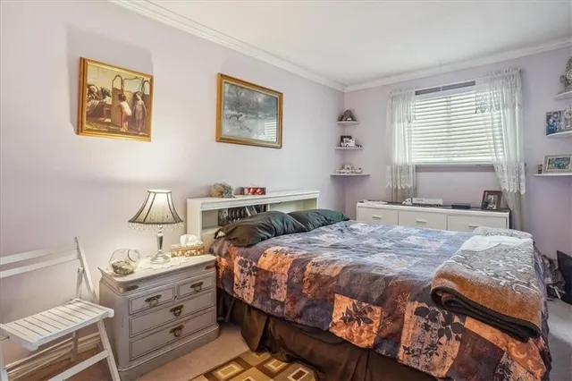 Additional image 17 of 3245 PALMER Dr