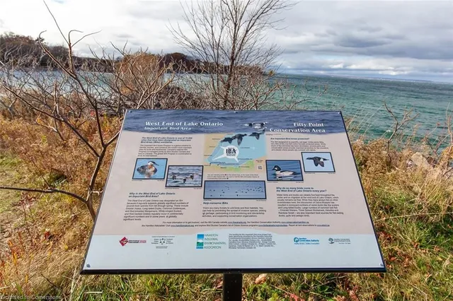 Additional image 34 of 48 Kingston Rd