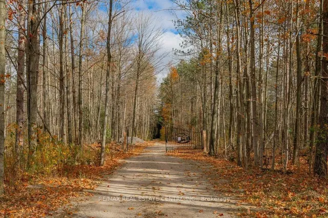 Additional image 34 of 13567 2nd Line