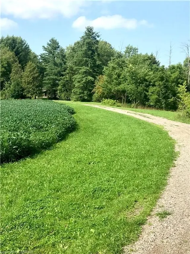 Additional image 6 of 5163 Milburough Line