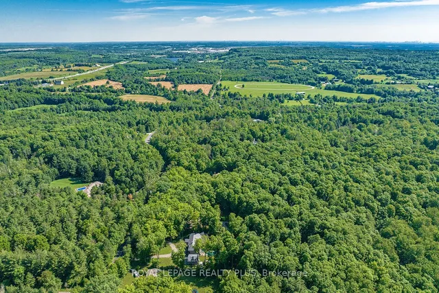 Additional image 3 of 3136 Limestone Rd