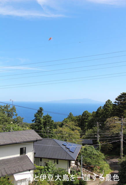 Additional image 2 of Akazawa, Ito City, Shizuoka Prefecture